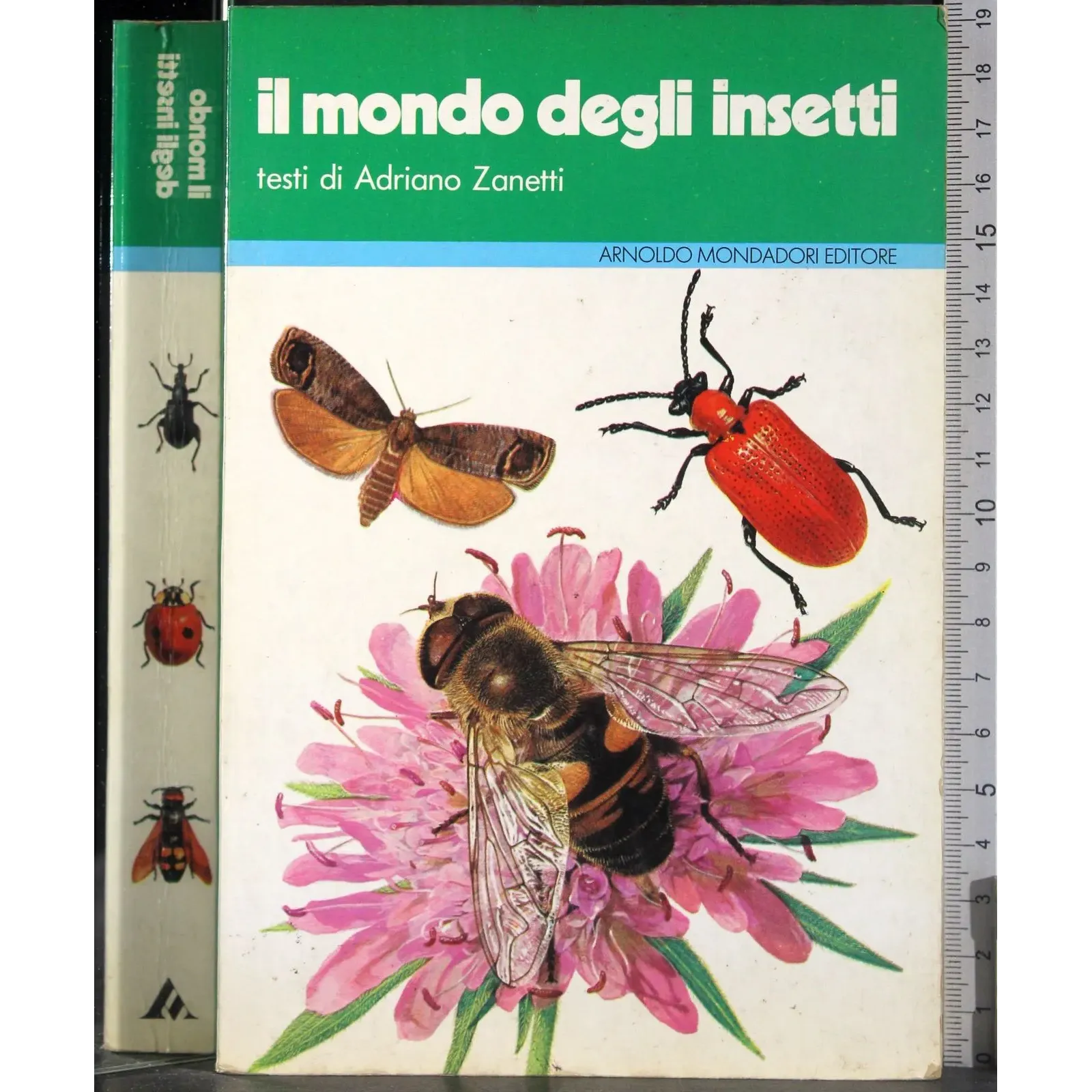 Il mondo degli insetti