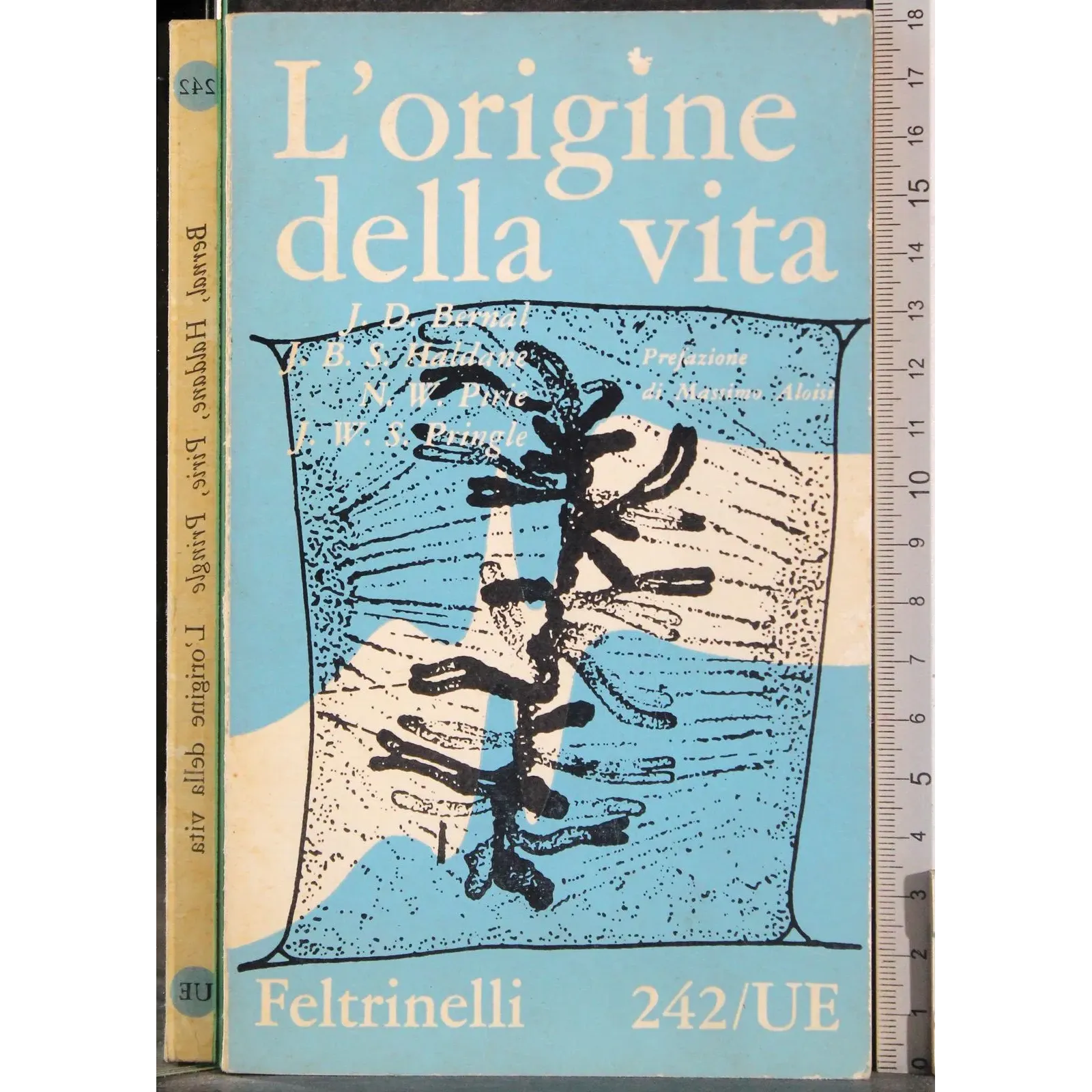 L'origine della vita