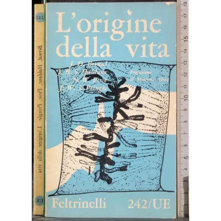L'origine della vita