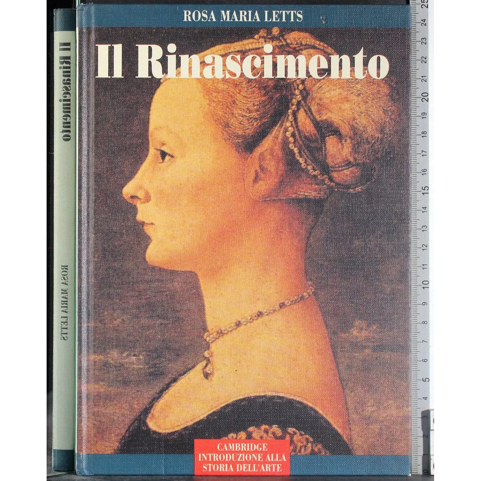 Il Rinascimento