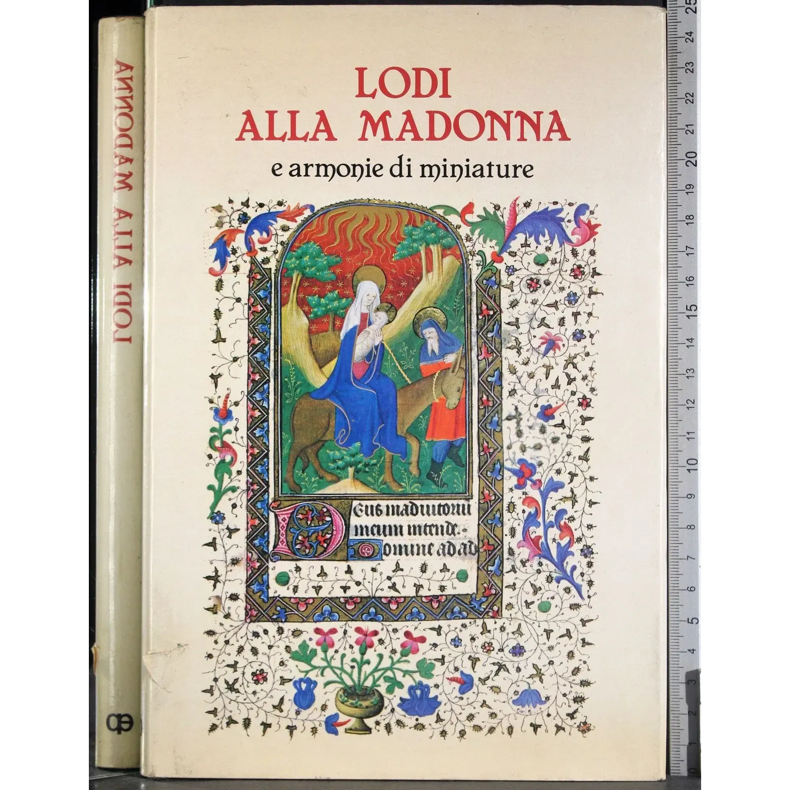 Lodi alla madonna