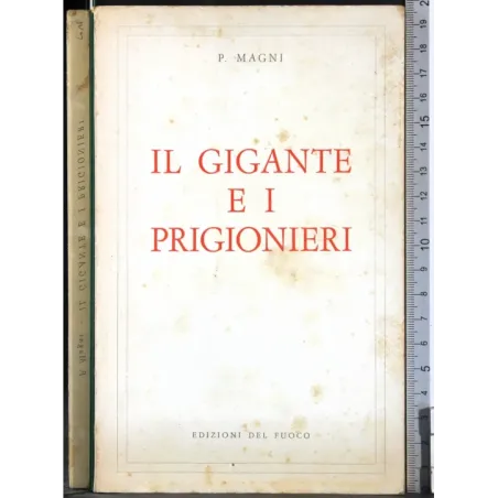 Il gigante e i prigionieri