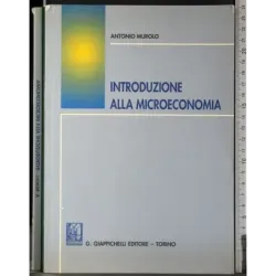 Introduzione alla miscoeconomia