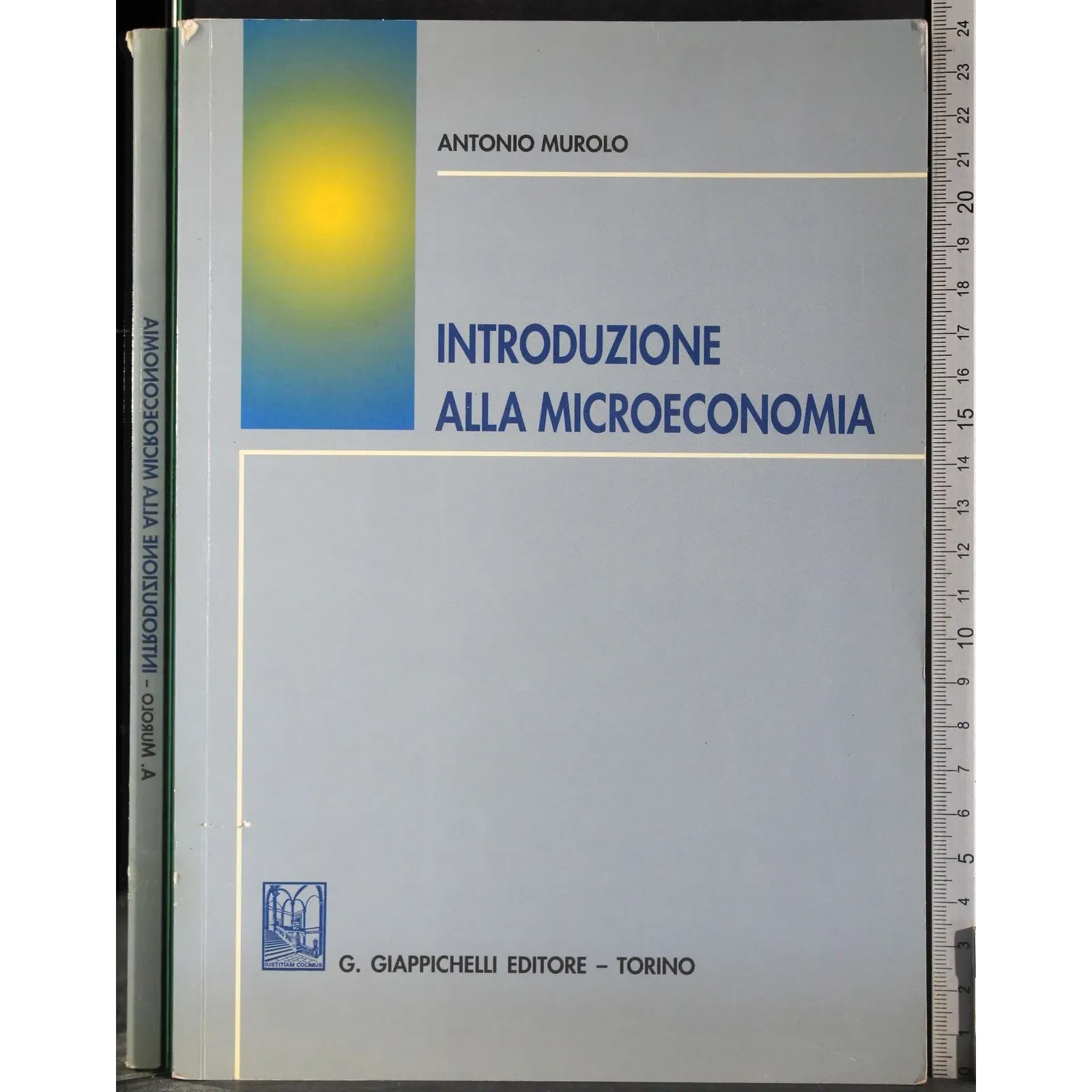 Introduzione alla miscoeconomia