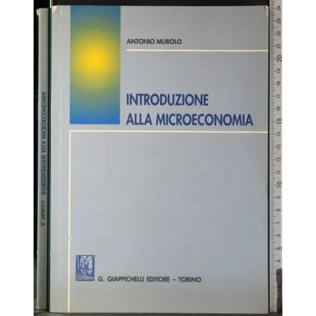 Introduzione alla miscoeconomia