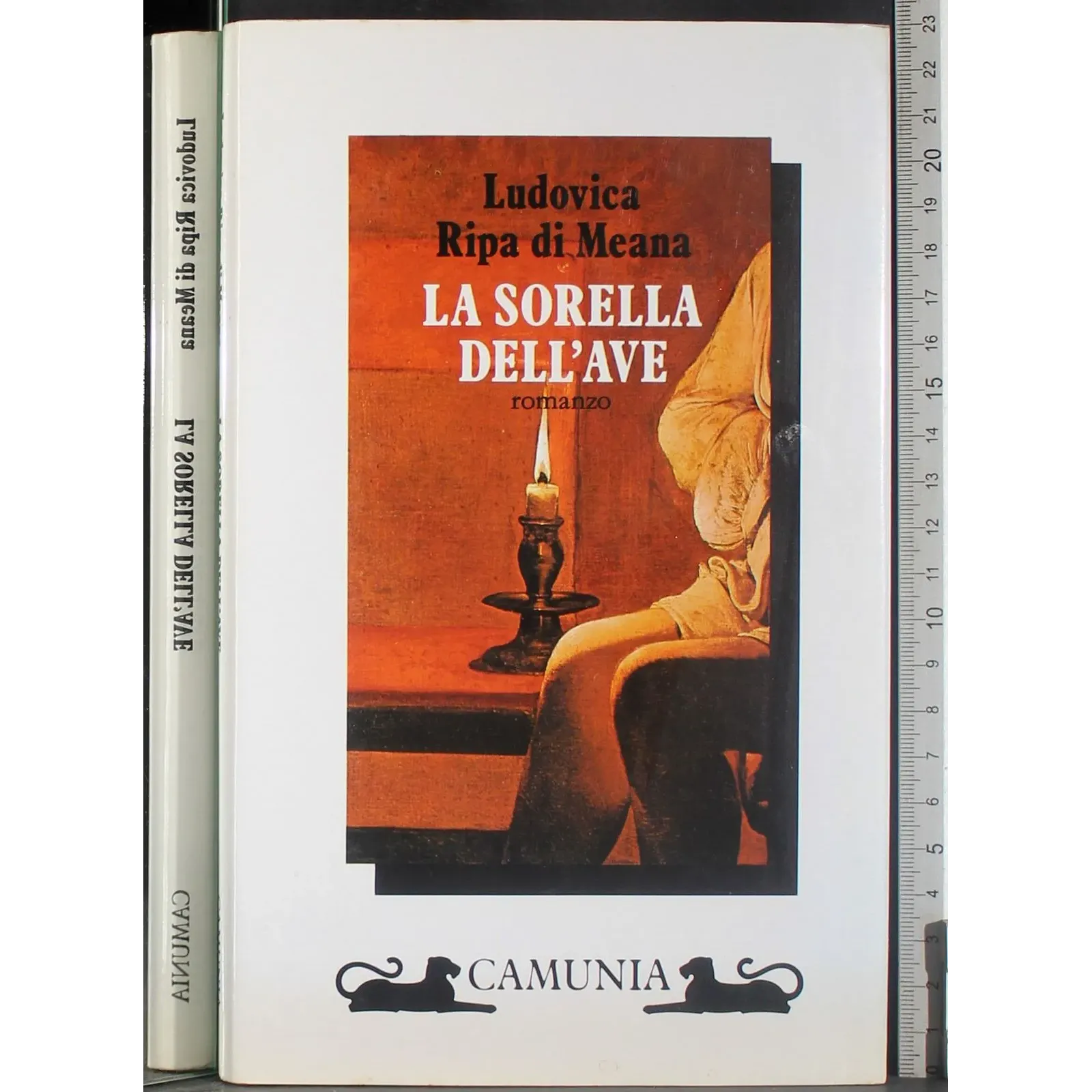 La sorella dell'ave
