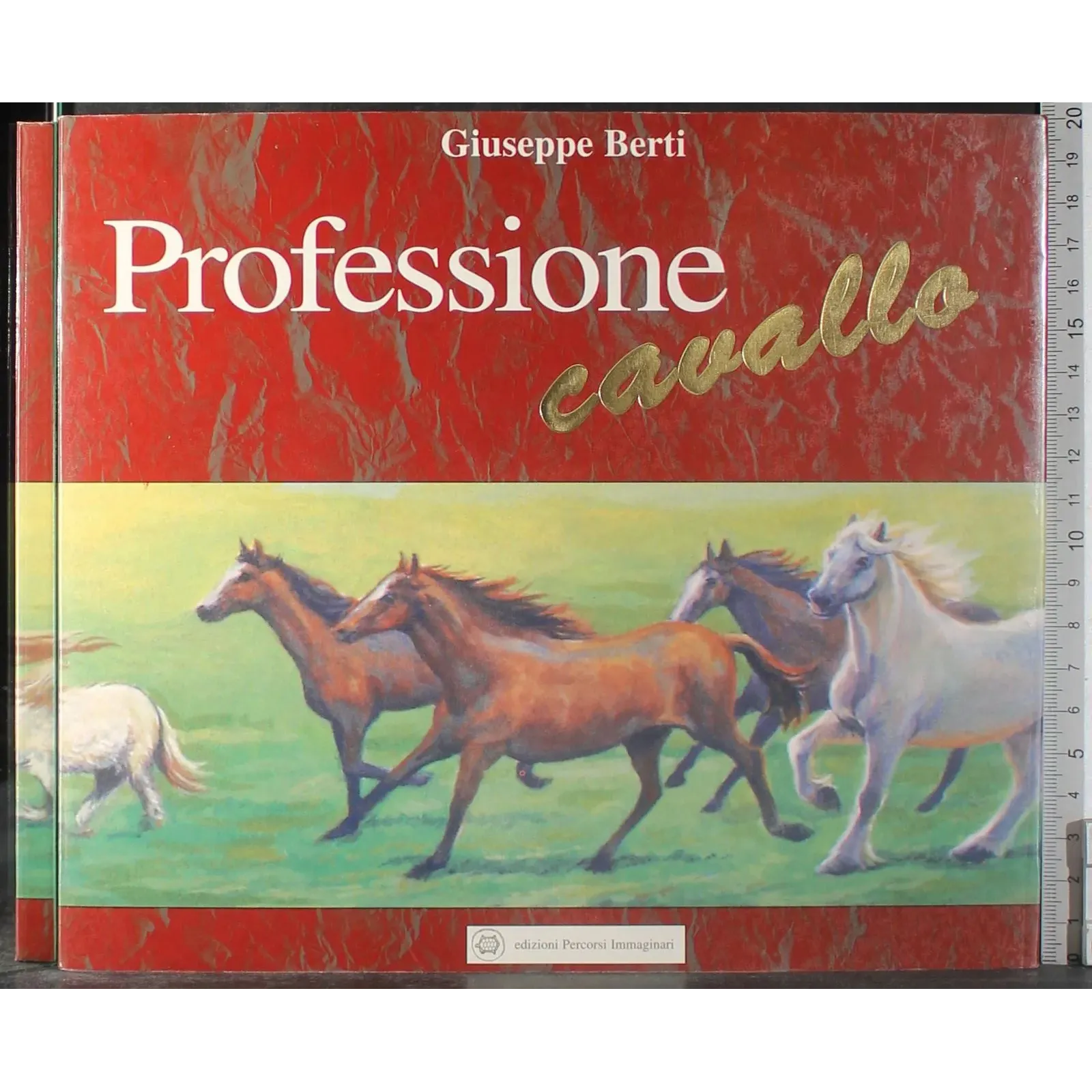 Professione cavallo