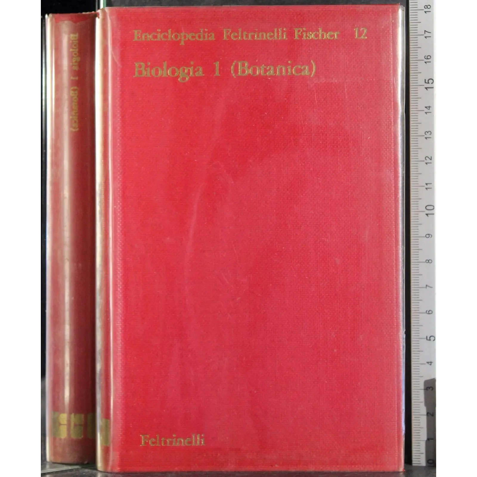 Biologia 1 (botanica)