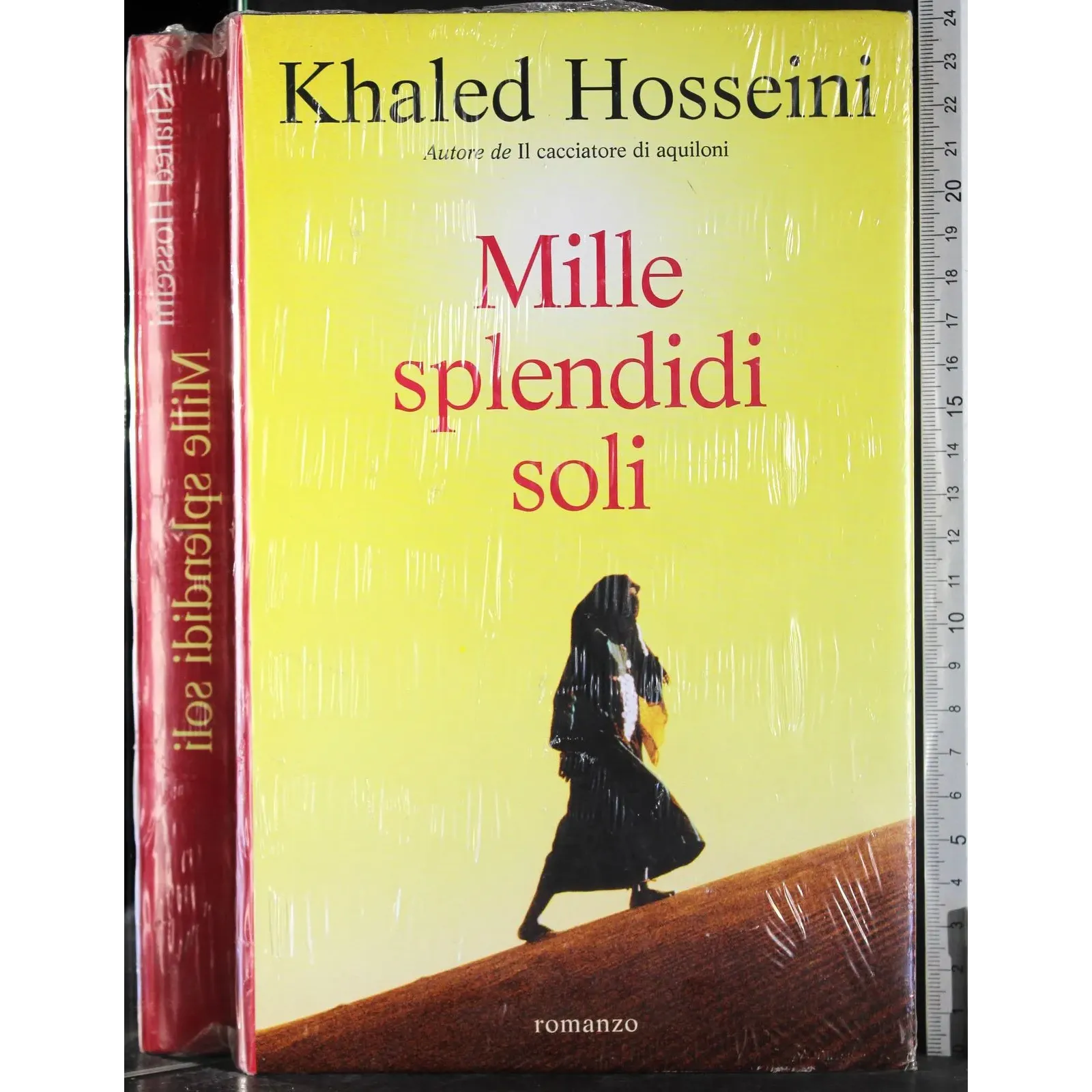 Mille spenditi soli