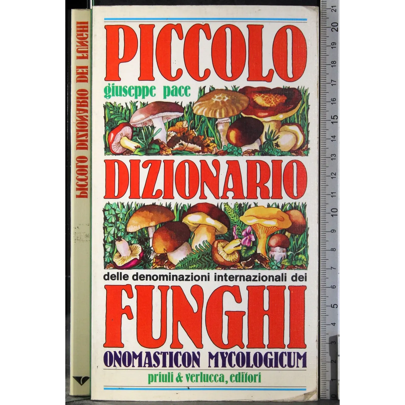 Piccolo dizionario funghi