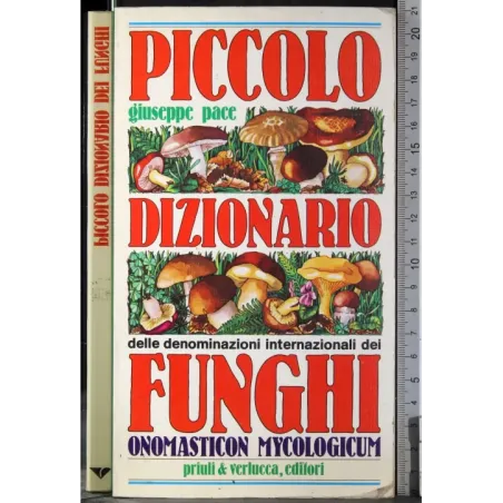 Piccolo dizionario funghi