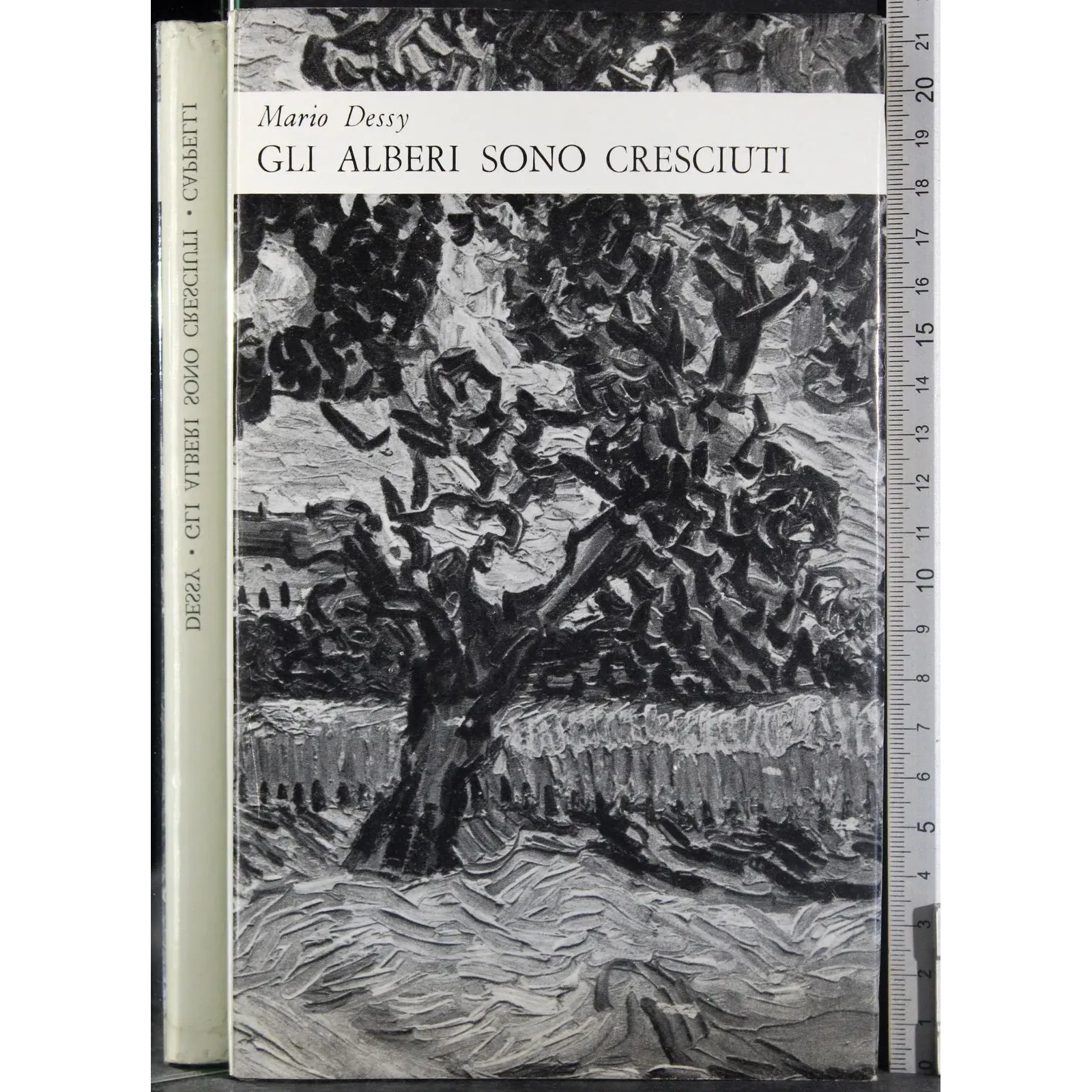 Gli alberi sono cresciuti