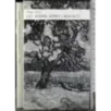 Gli alberi sono cresciuti