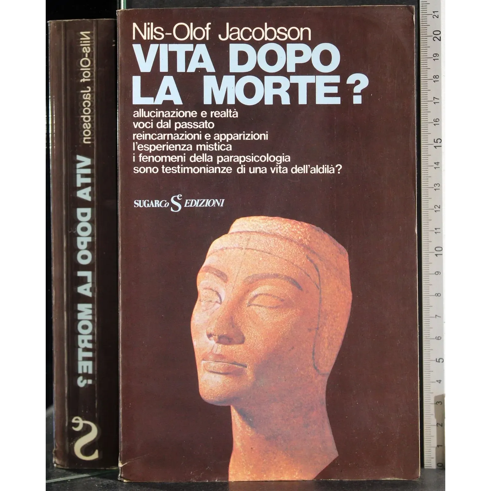 Vita dopo la morte?