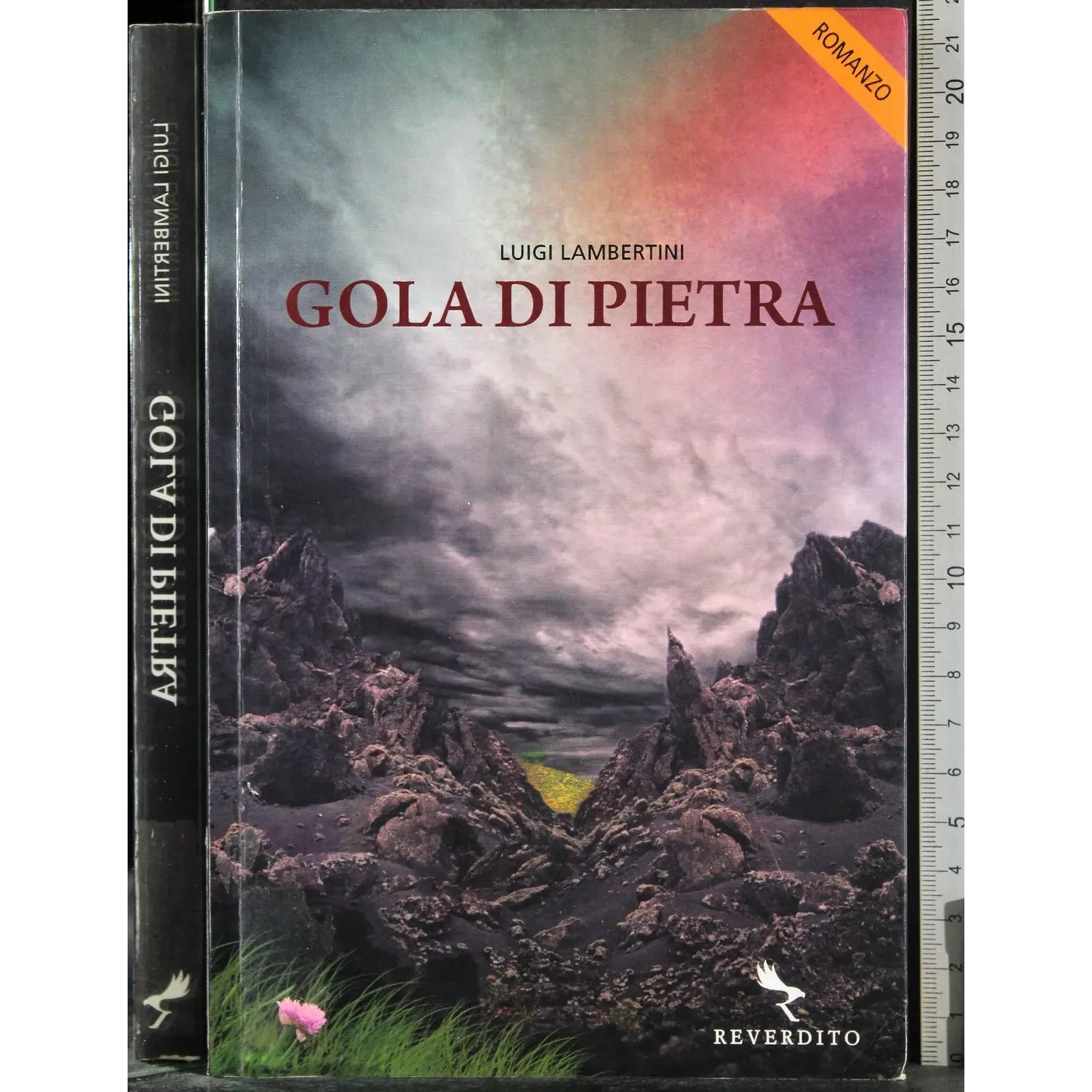 Gola di pietra