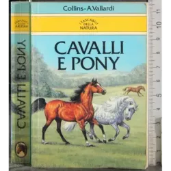 Cavalli e pony