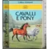 Cavalli e pony