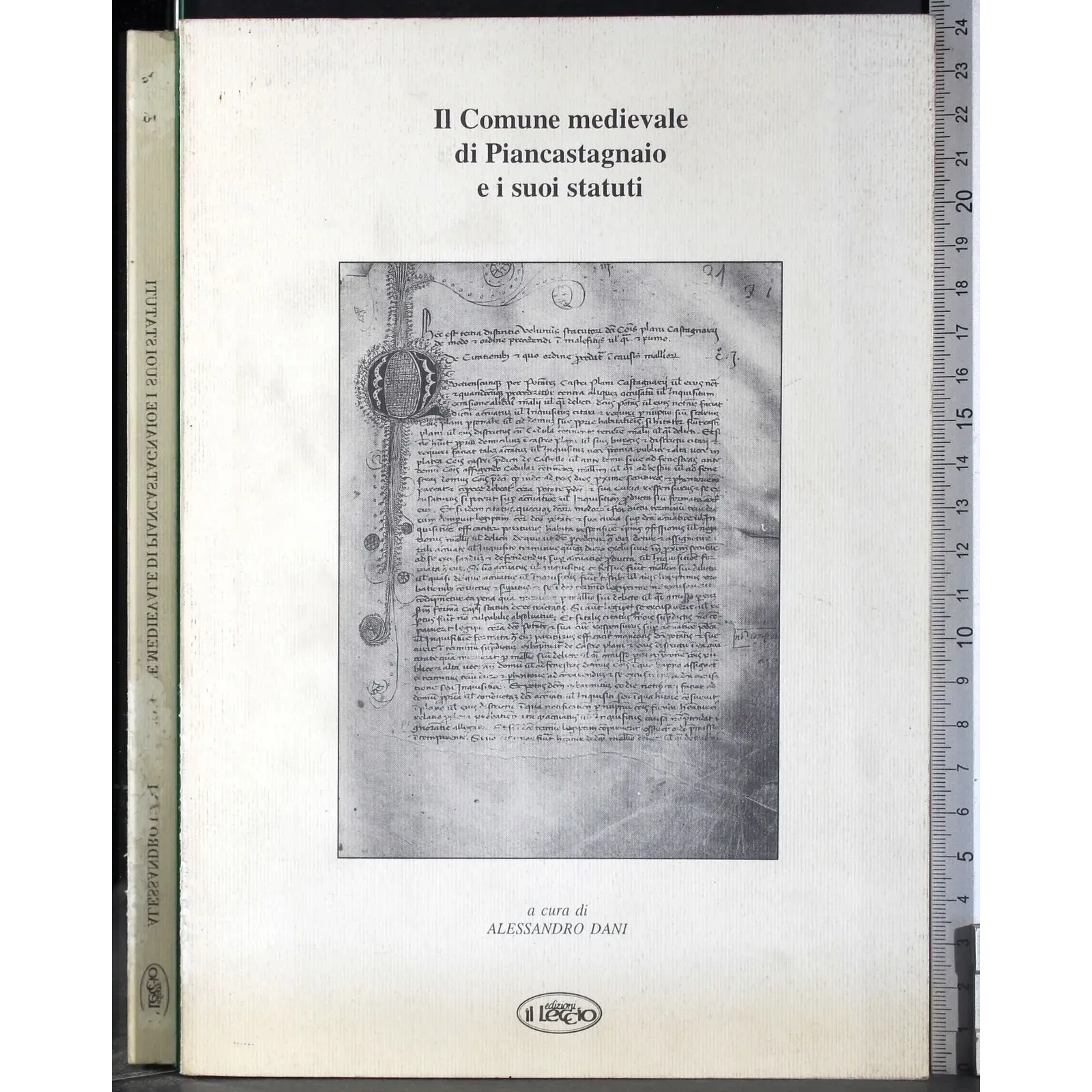 Il comune medievale di Piancastagnaio e i suoi statuti
