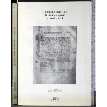 Il comune medievale di Piancastagnaio e i suoi statuti