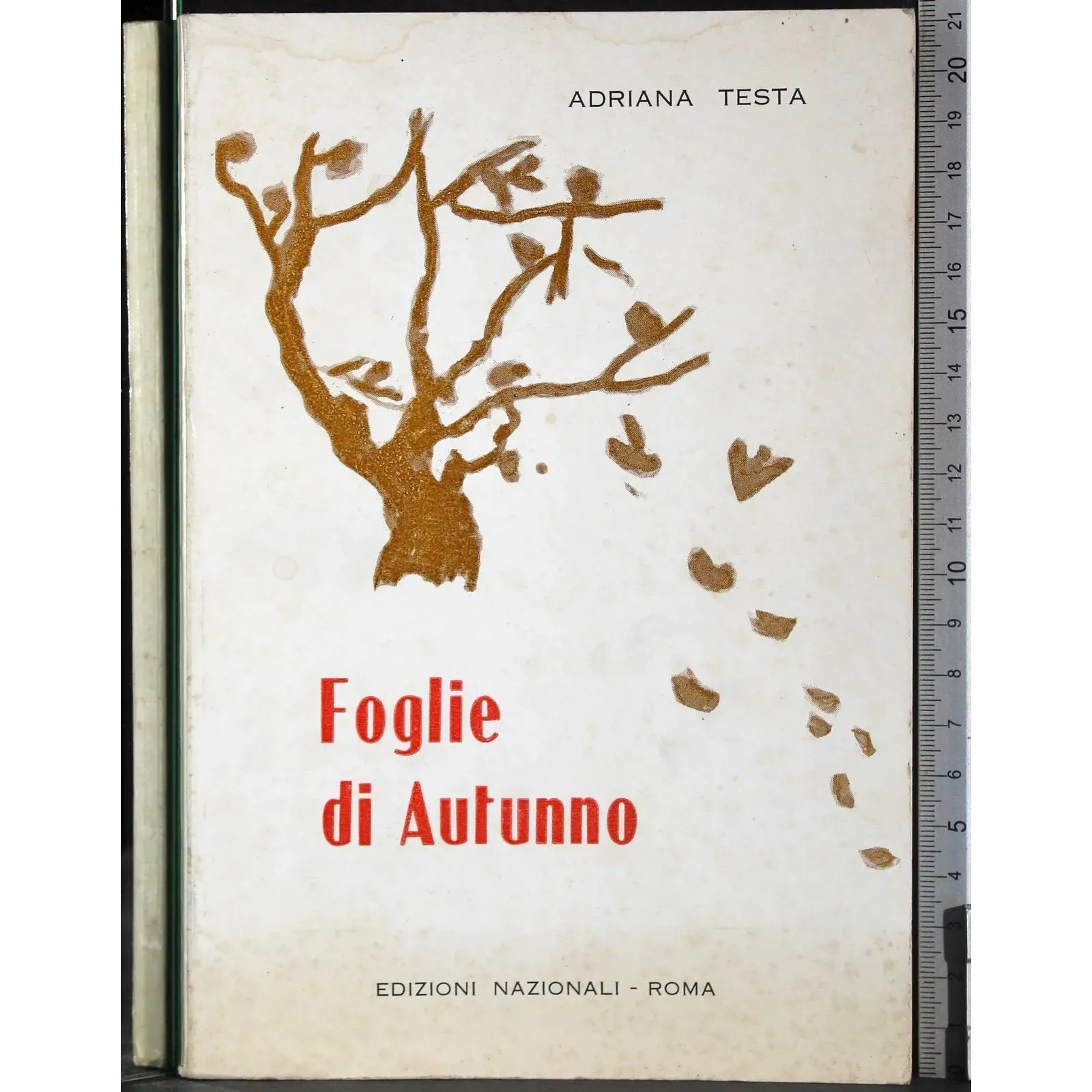 Foglie di autunno