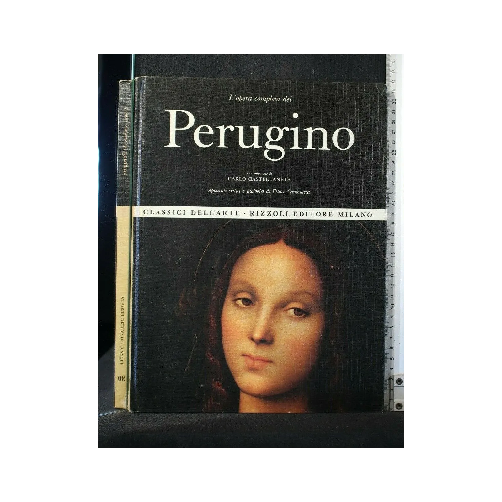 L'OPERA COMPLETA DEL PERUGINO