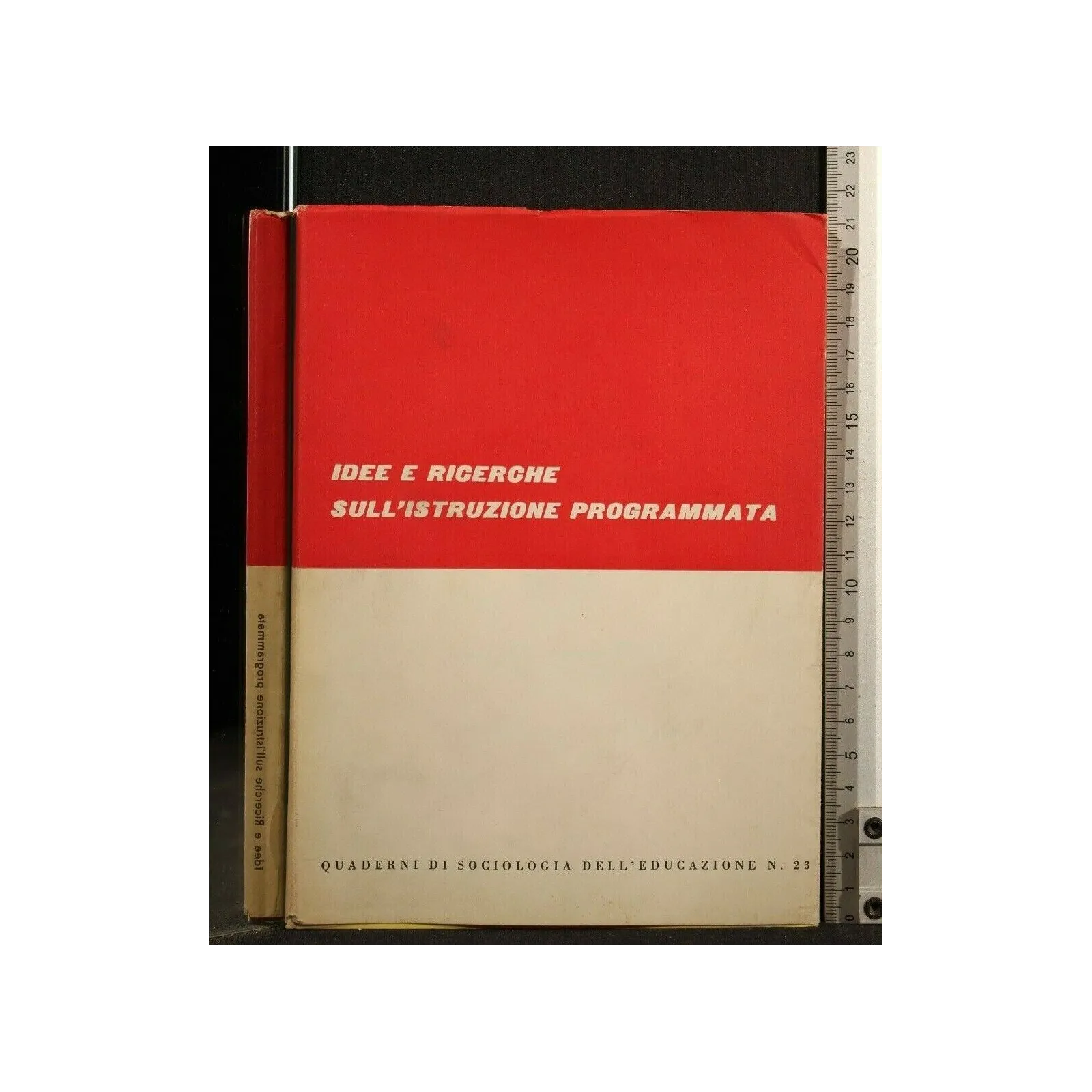 IDEE E RICERCHE SULL'ISTRUZIONE PROGRAMMATA