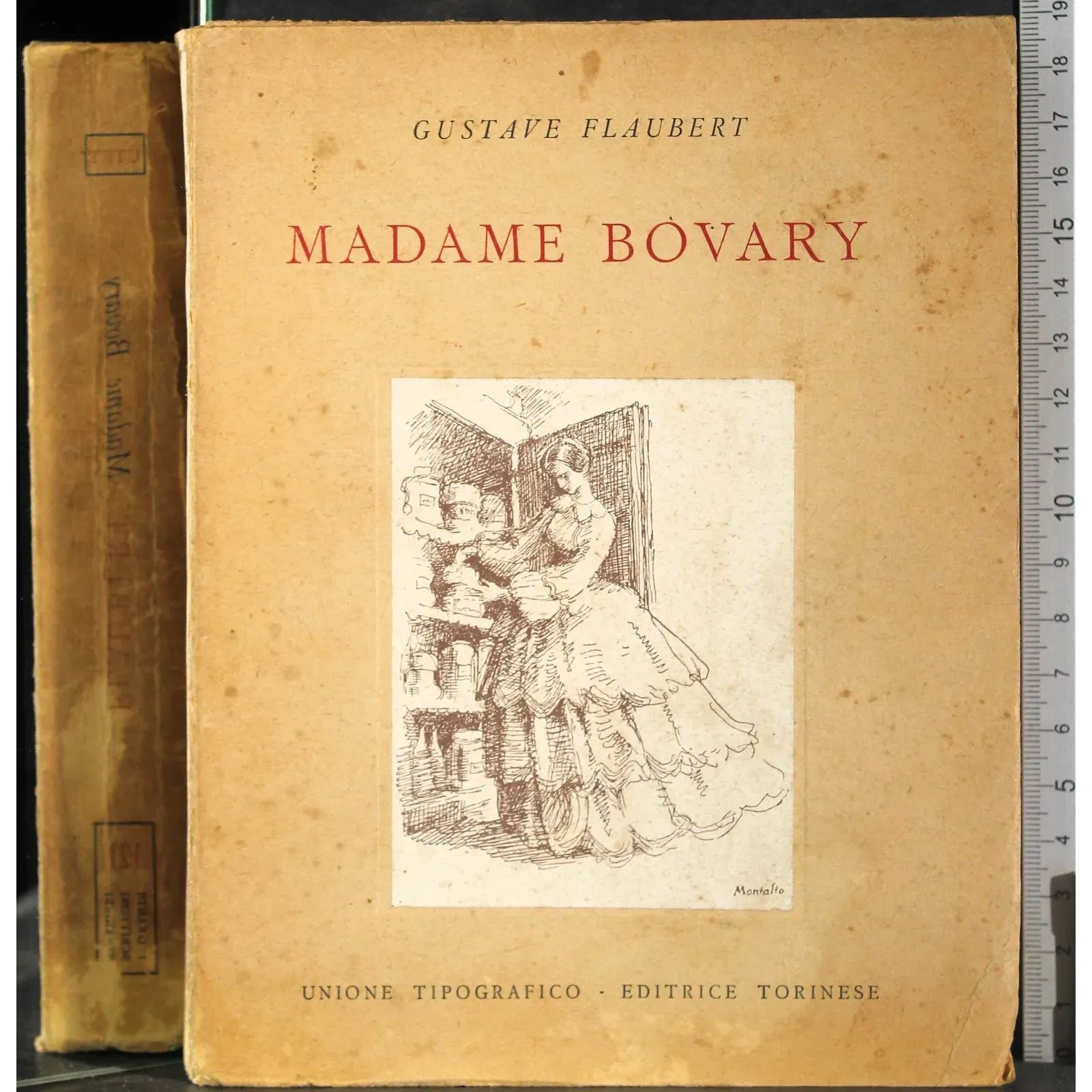 Madame Bovary