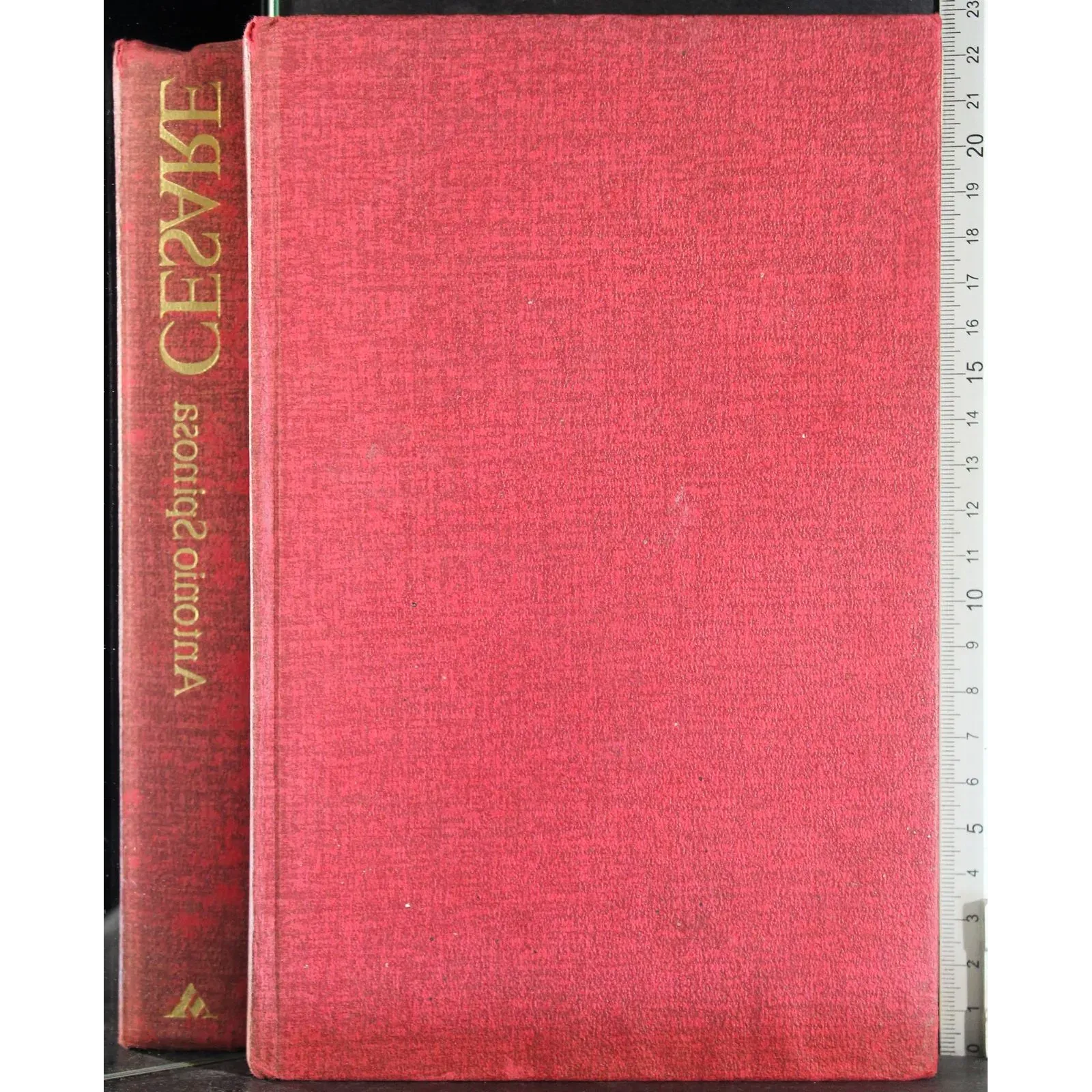 Cesare