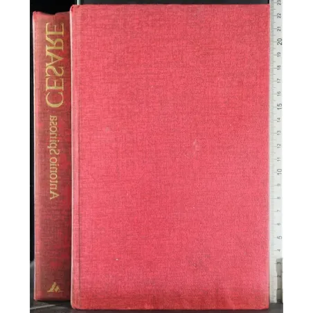 Cesare