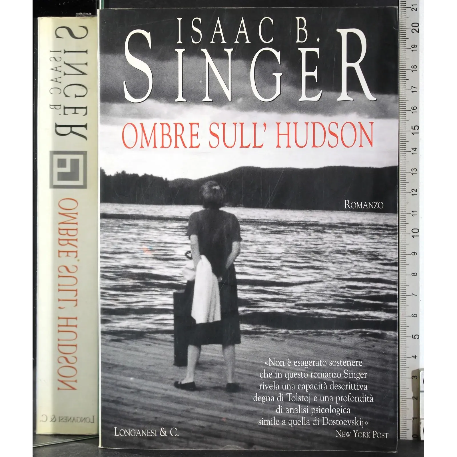 Ombre sull'Hudson