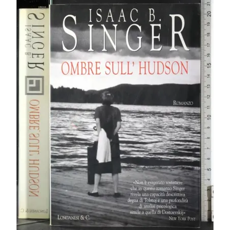 Ombre sull'Hudson