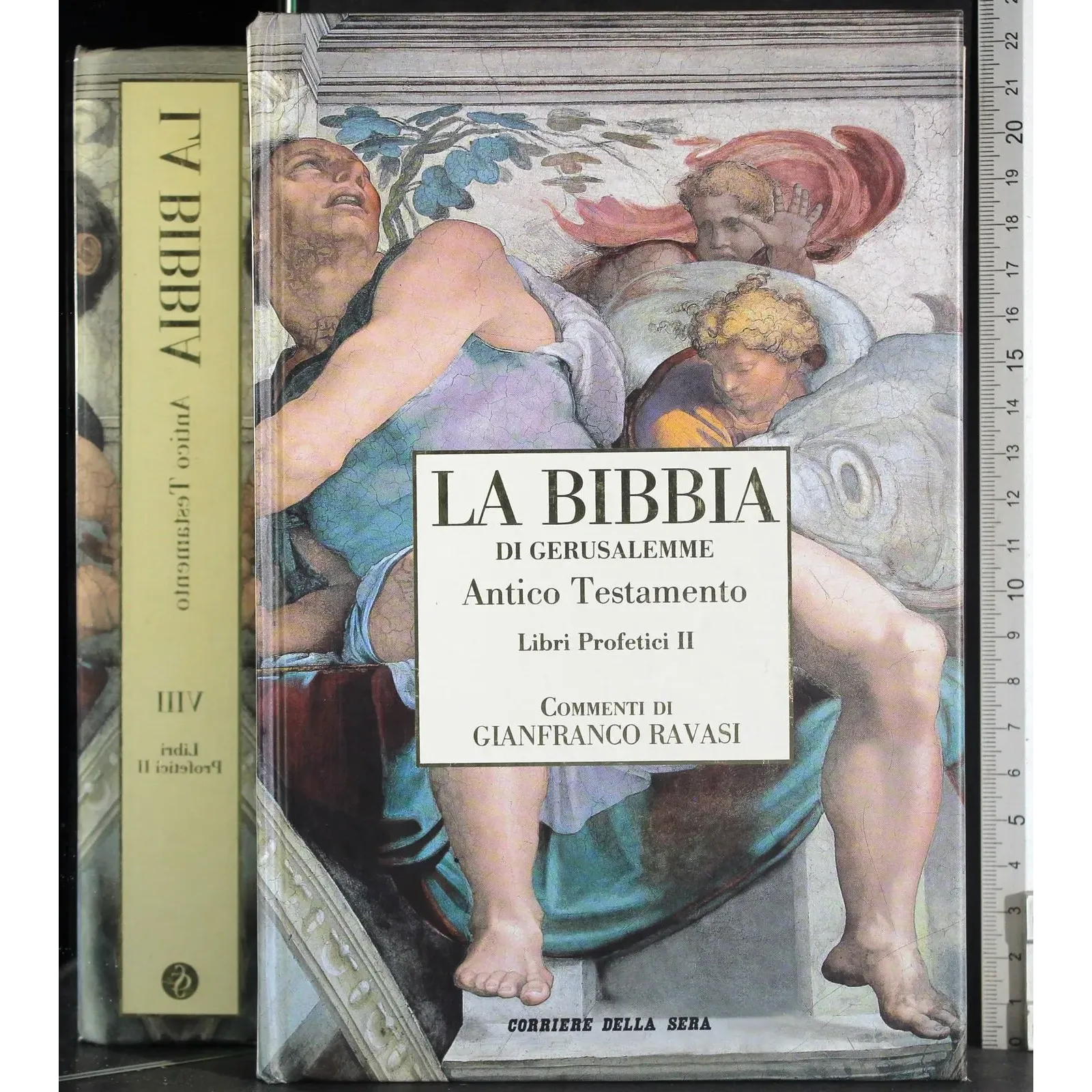 Bibbia Gerusalemme Vol VIII. Antico Trstamneto Libri profetici II