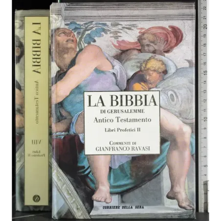 Bibbia Gerusalemme Vol VIII. Antico Trstamneto Libri profetici II