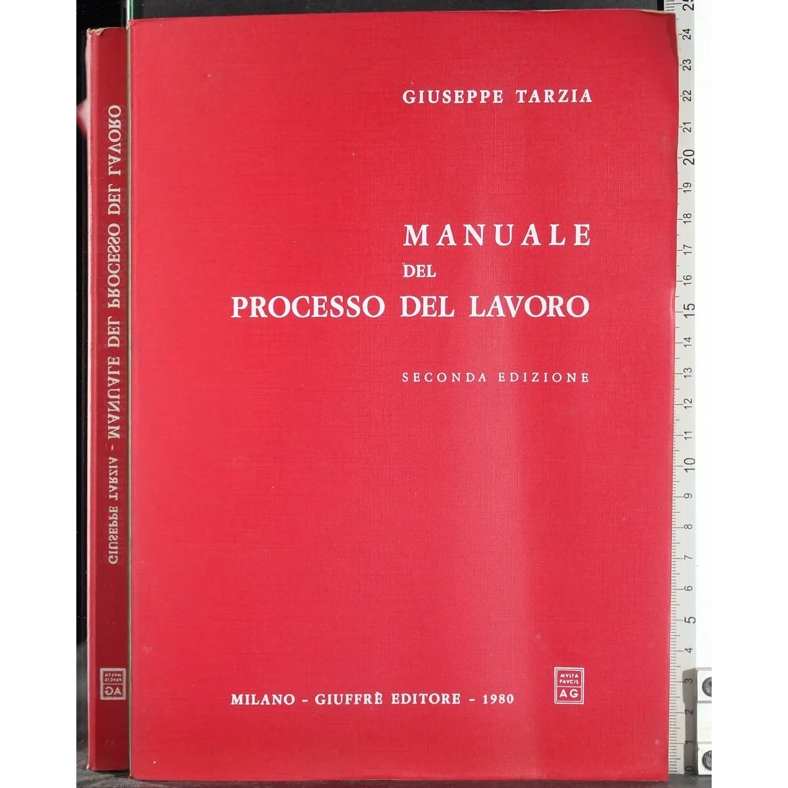 Manuale del processo del lavoro