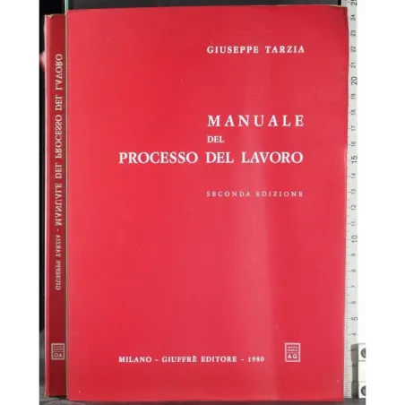 Manuale del processo del lavoro