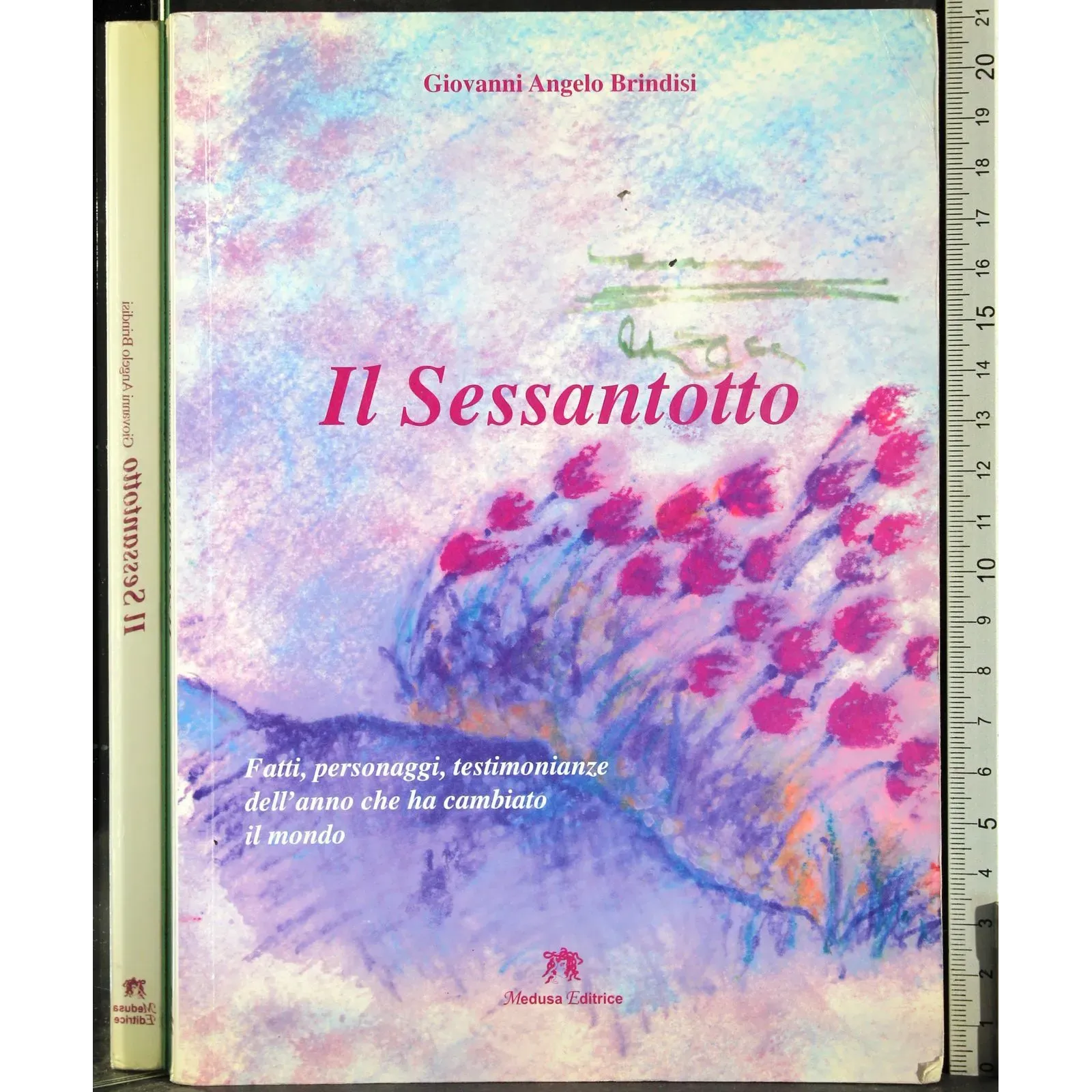 Il sessantotto