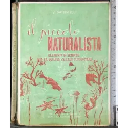 Il piccolo naturalista