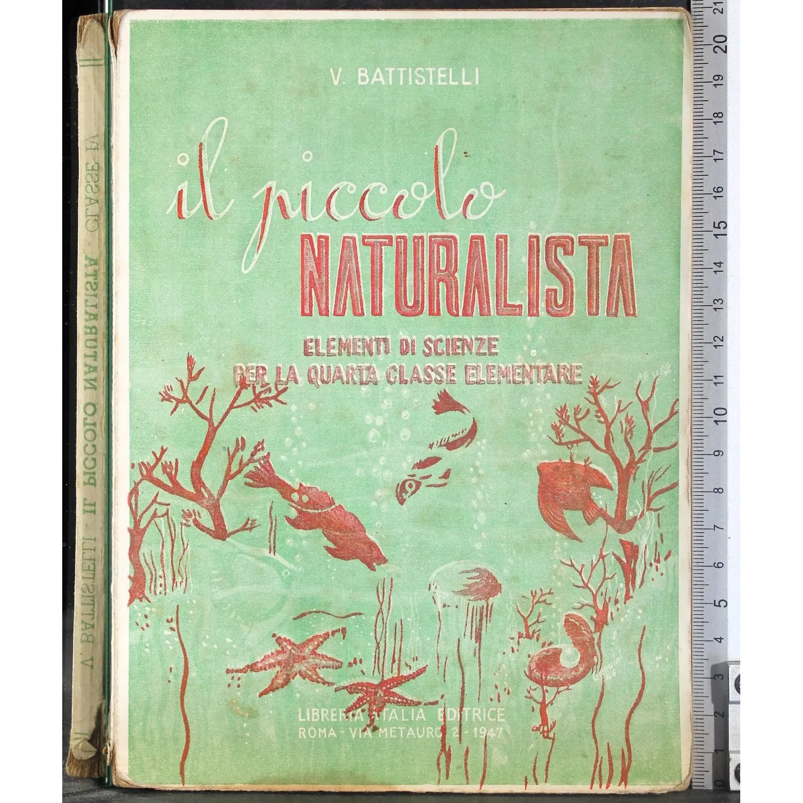 Il piccolo naturalista