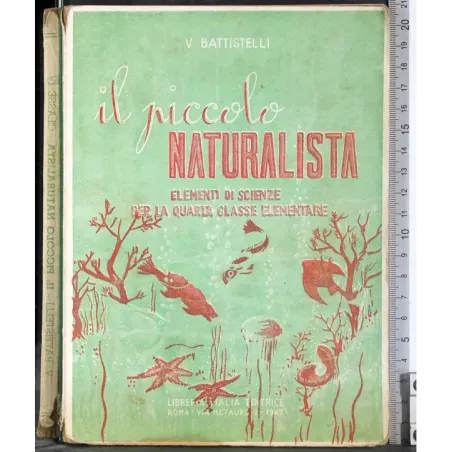Il piccolo naturalista