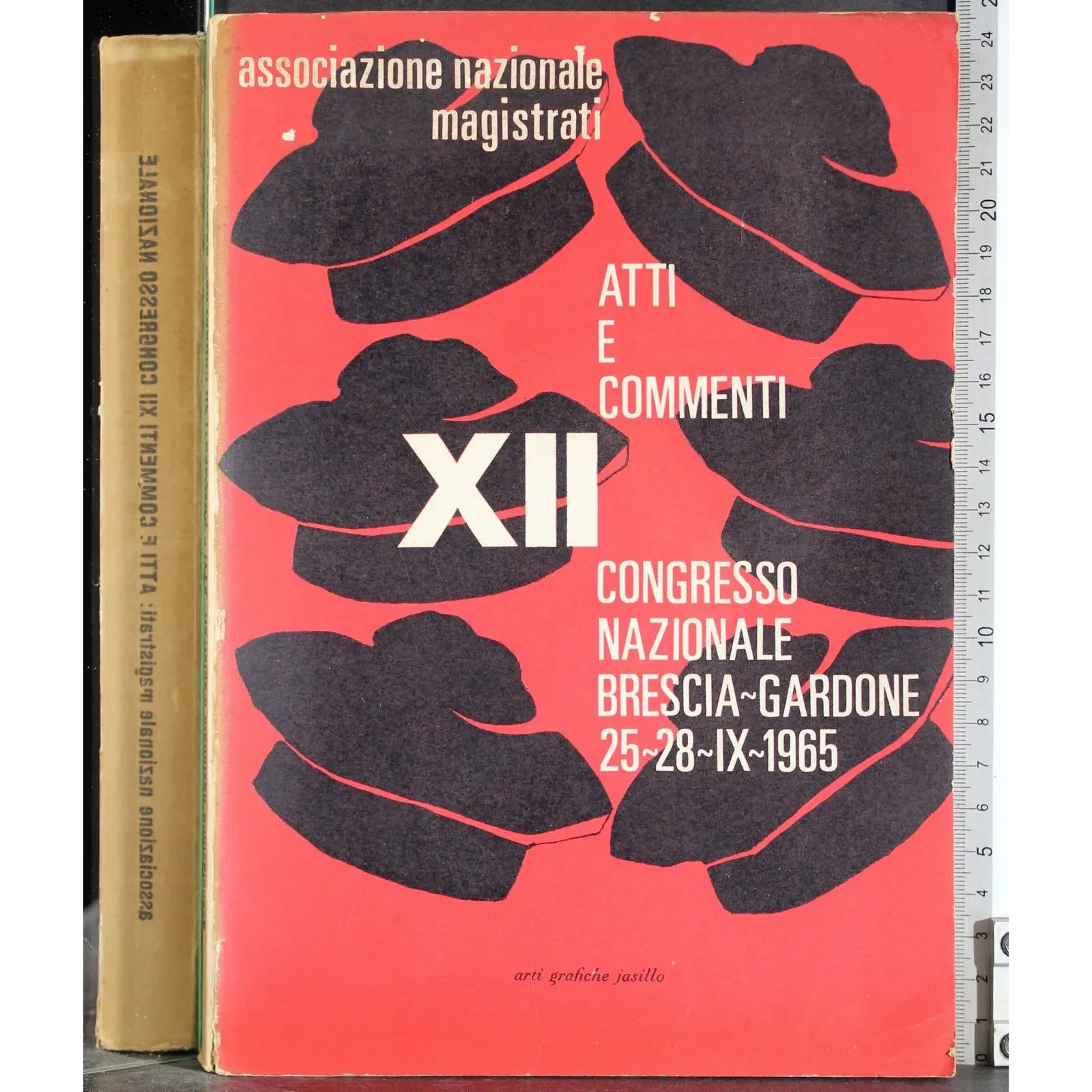 Atti e commenti XII Congresso nazionale