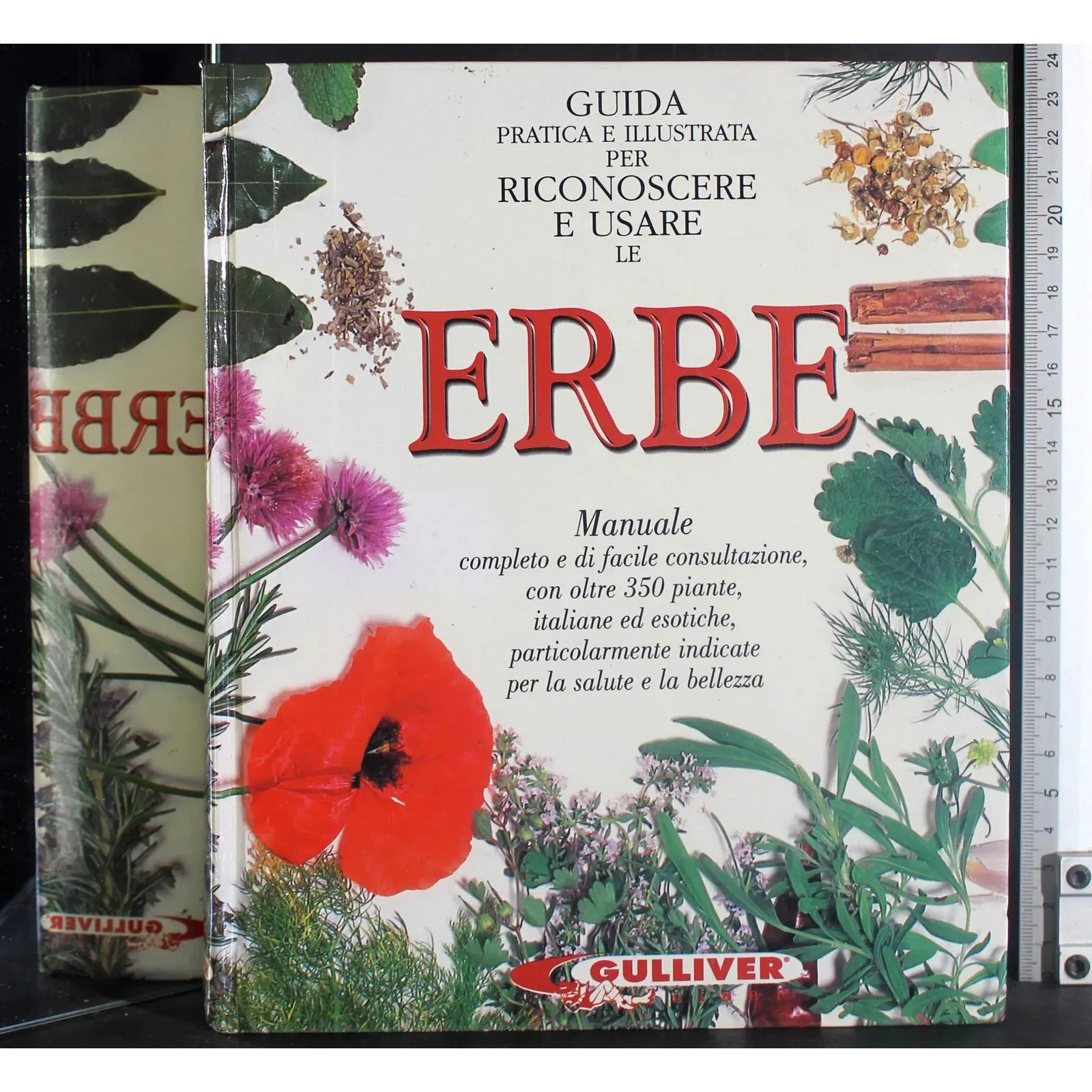 Guida pratica per riconoscere e usare le erbe