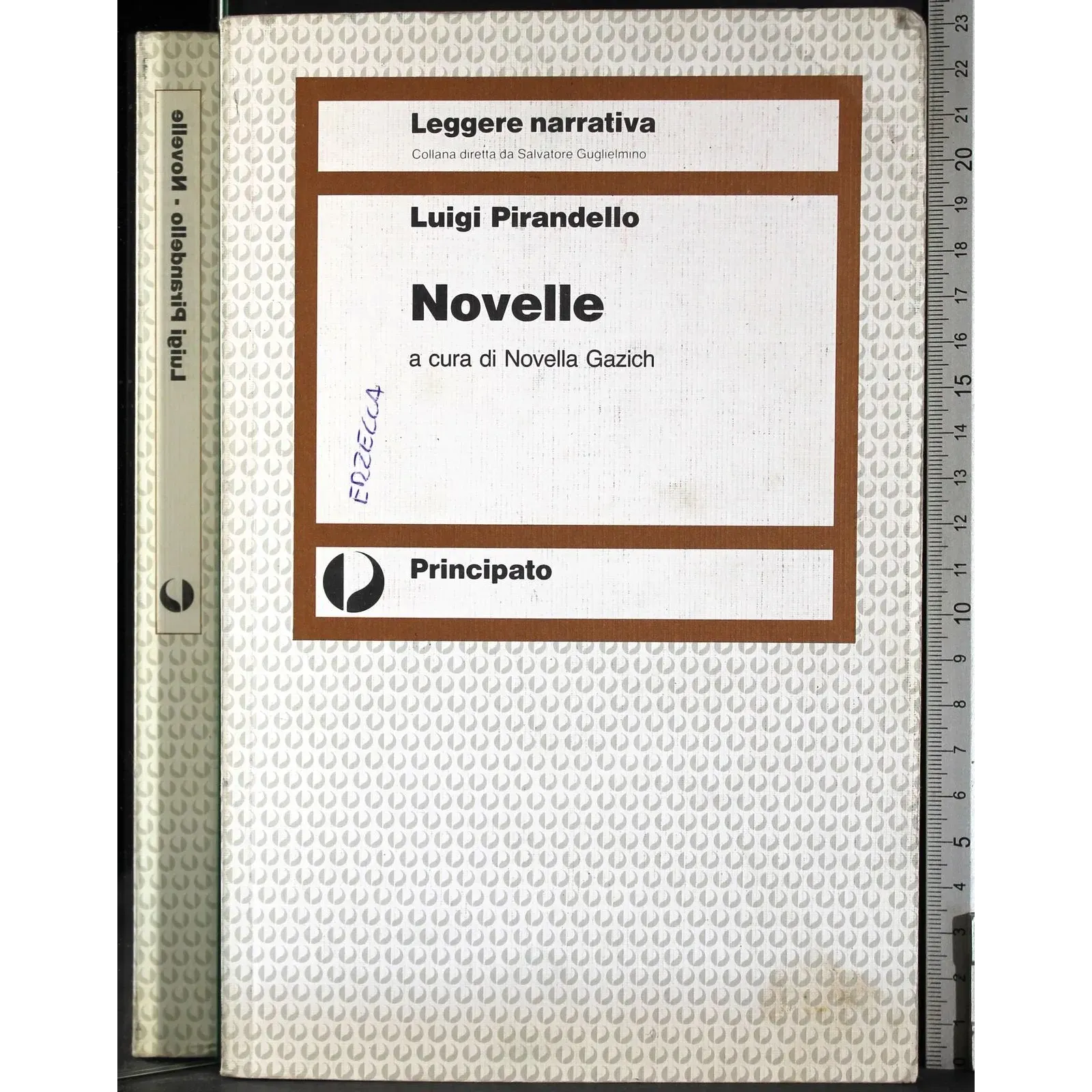 Novelle