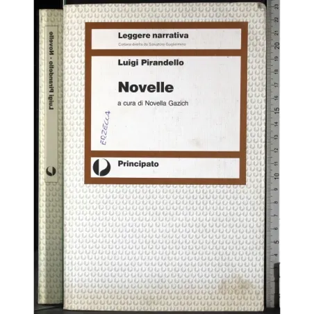 Novelle