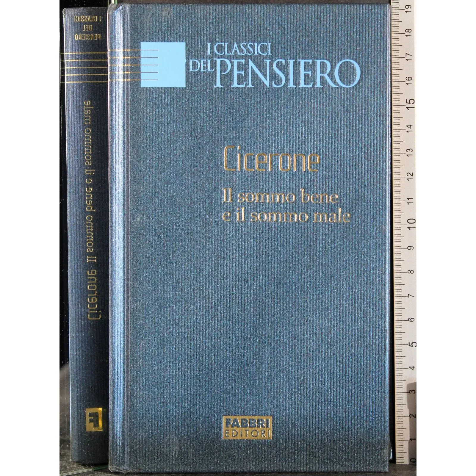 I classici del pensiero. Il sommo bene e il sommo male