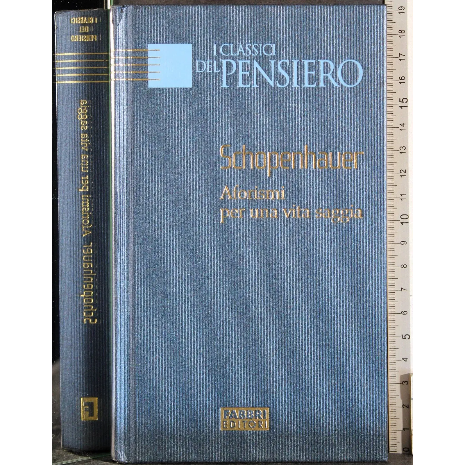I classici del pensiero. Aforismi per una vita saggia
