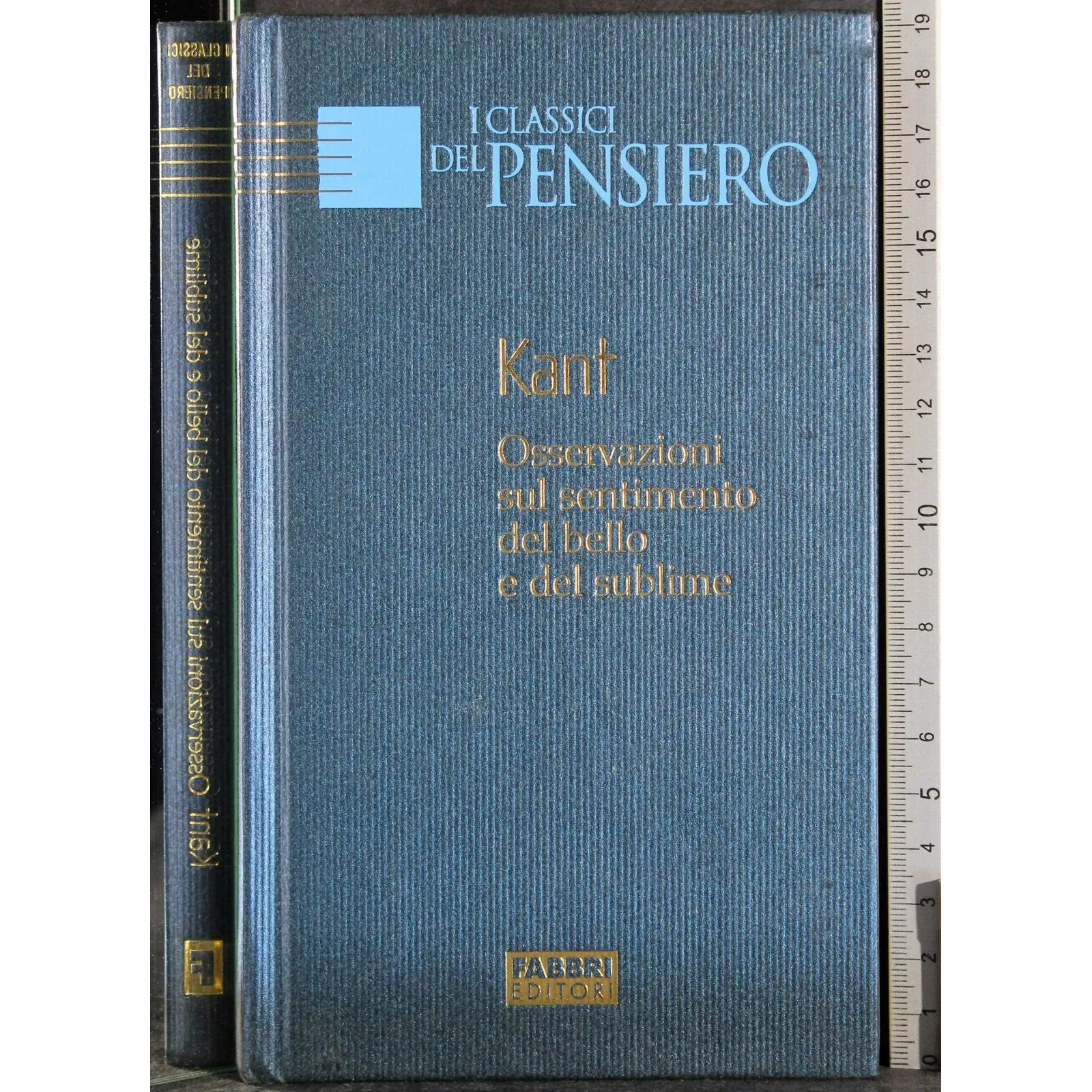 I classici del pensiero. Osservazioni del bello e del sublime