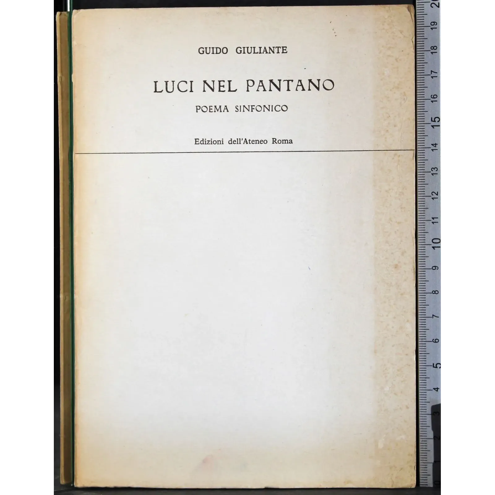 luci nel pantano