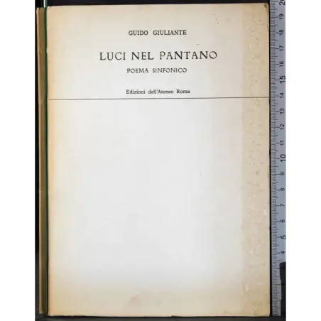 luci nel pantano