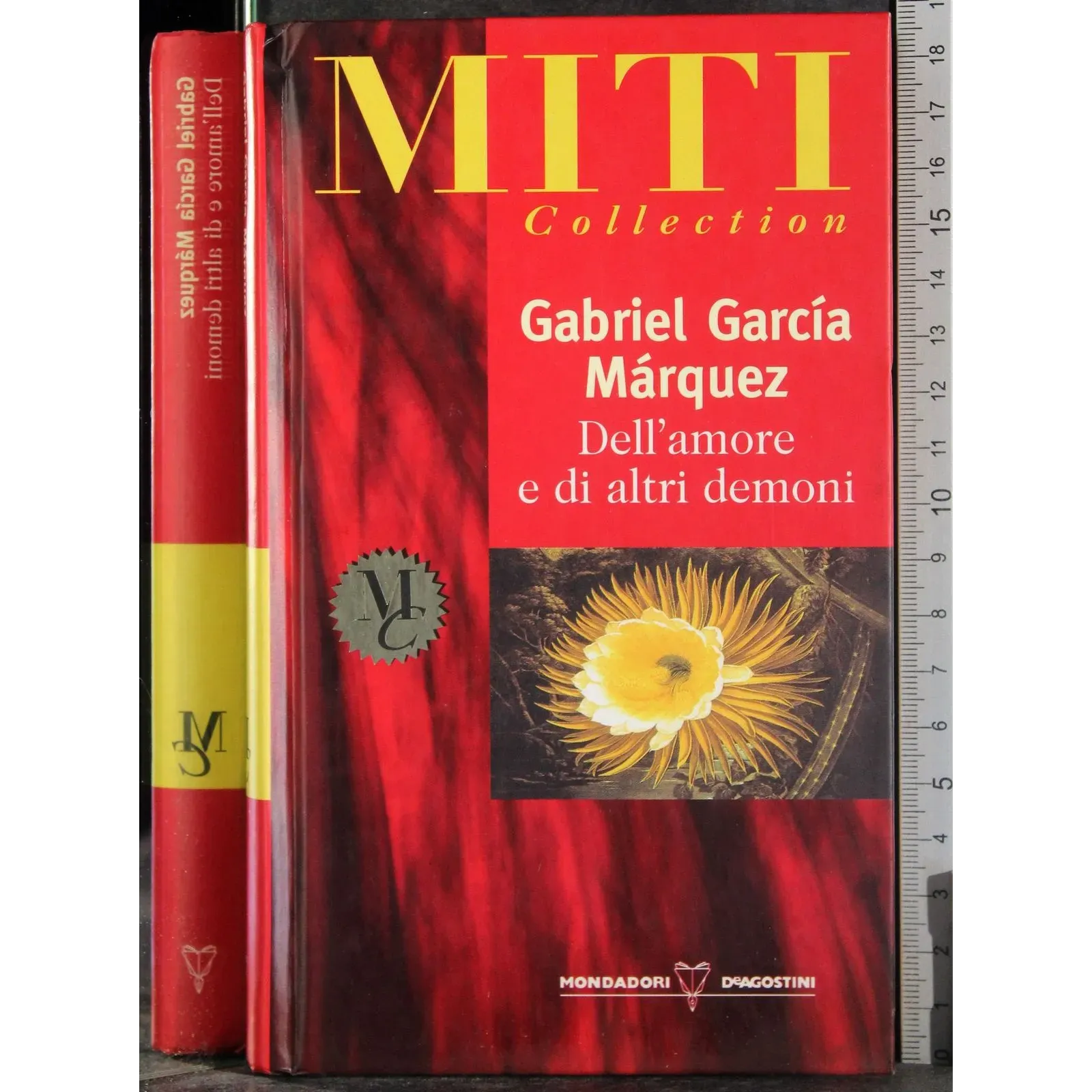 Dell'amore e di altri demoni