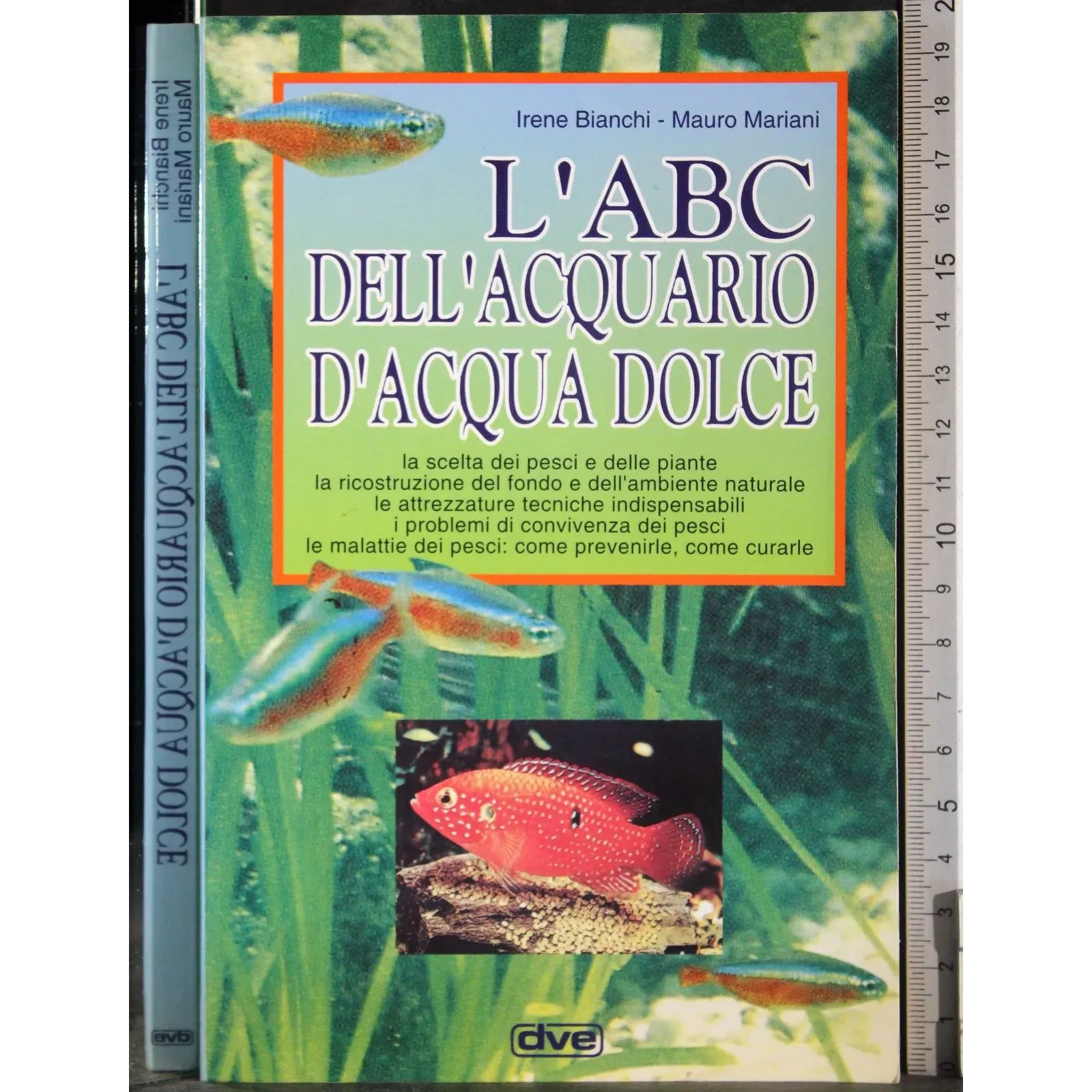 L'ABC dell'acquario d'acqua dolce
